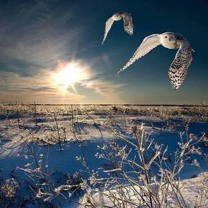 Meet your Posher, Julianne